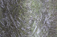 Eastcote fibreglass roof work